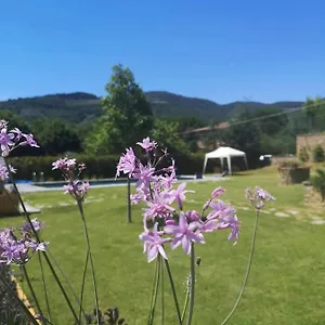 Alba Morus Sentiti A Casa Nel Cuo Arezzo